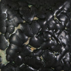 Mayco "Stoneware Specialty" glaze SW404 Black Mudcrack
