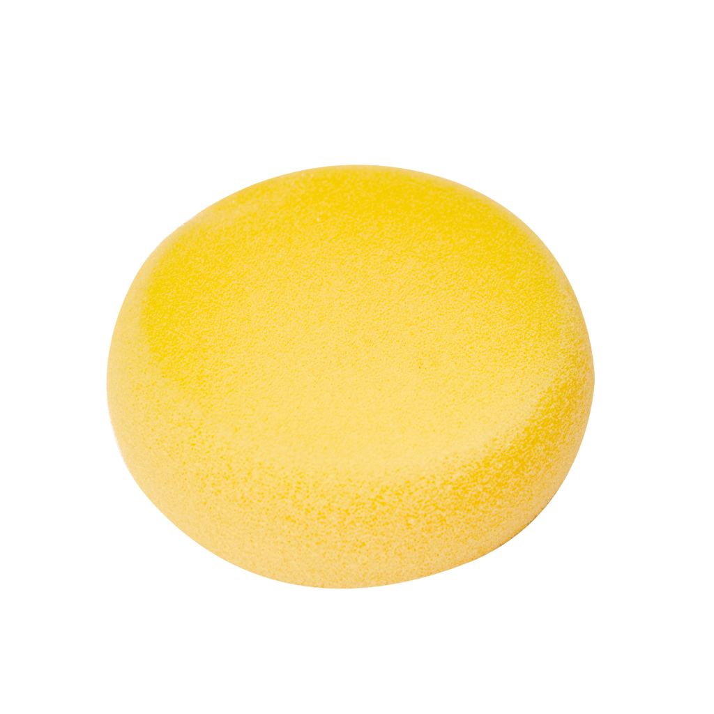 Round Sponge