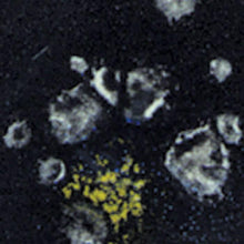 Load image into Gallery viewer, น้ำเคลือบ Crystaltex Amaco สี CTL-1 Jet Moss
