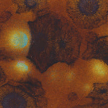 โหลดรูปภาพลงในเครื่องมือใช้ดูของ Gallery น้ำเคลือบ Crystaltex Amaco สี CTL-35 Nutmeg
