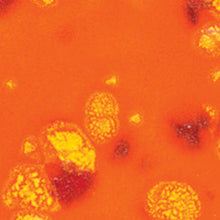 โหลดรูปภาพลงในเครื่องมือใช้ดูของ Gallery น้ำเคลือบ Crystaltex Amaco สี CTL-67 Summer Mango
