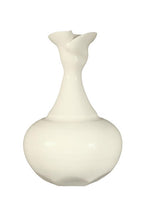 Load image into Gallery viewer, Amaco High Fire Glaze HF-9 Gal Zinc-Free Clear
