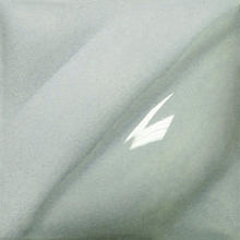 โหลดรูปภาพลงในเครื่องมือใช้ดูของ Gallery สีใต้เคลือบ Amaco  Velvet  สี V-356 Pearl Gray
